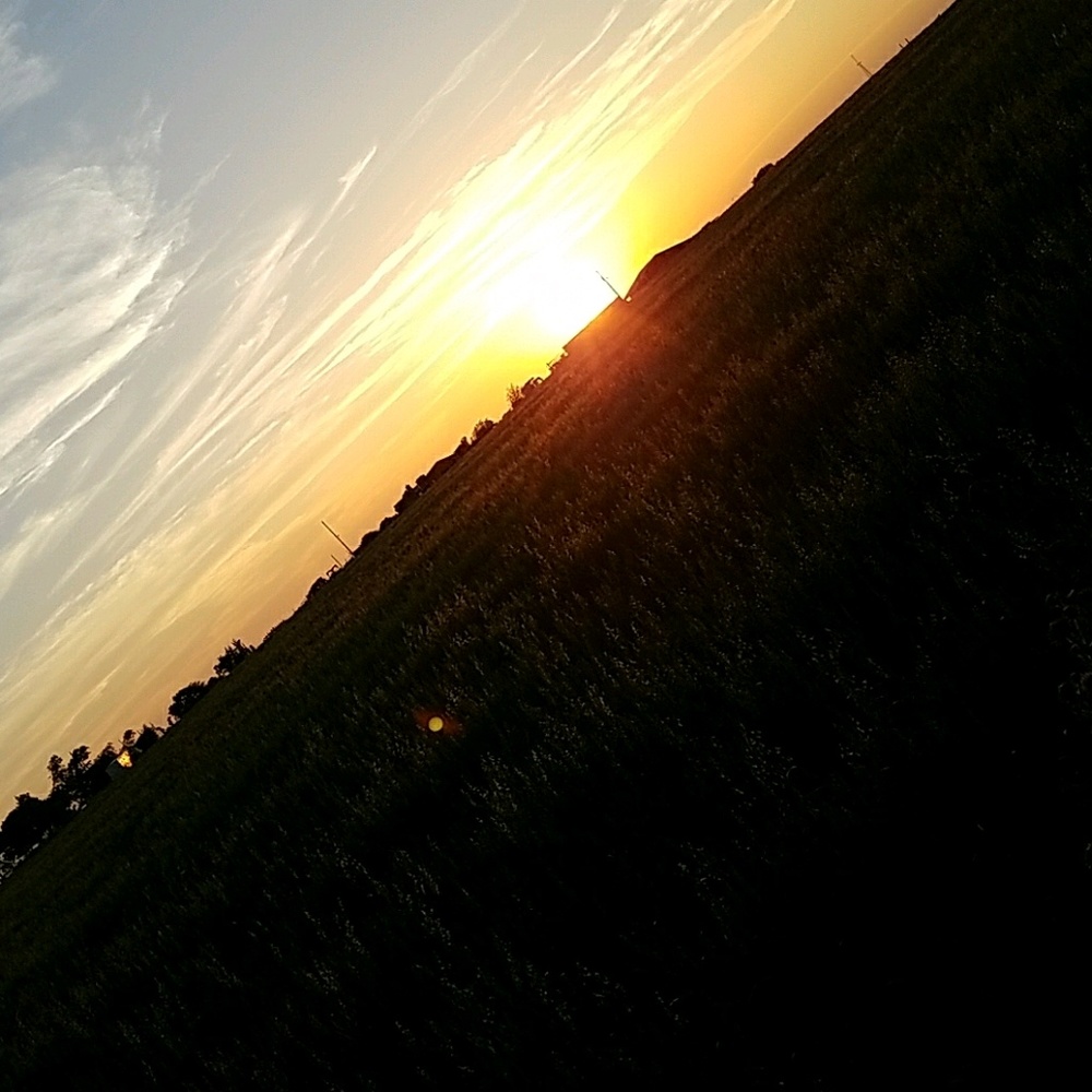 Meet your Posher, Dixon